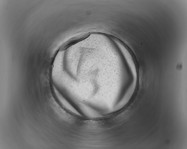 X0000112491500200909071209