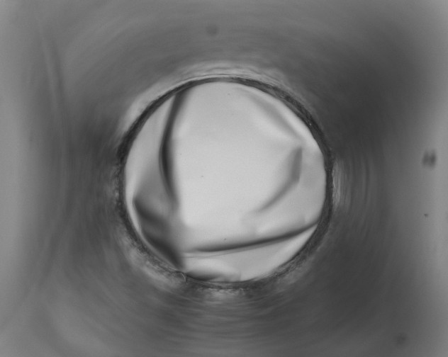 X0000112491501200909071209