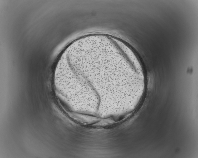 X0000112491502200909071209