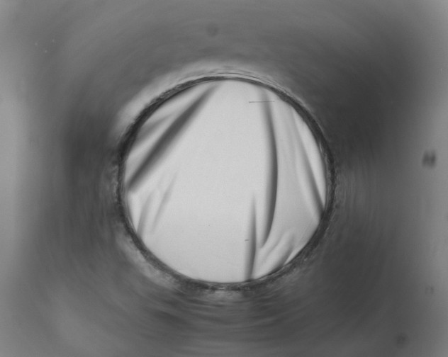 X0000112491503200909071209