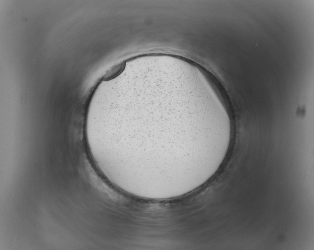 X0000112491504200909071209