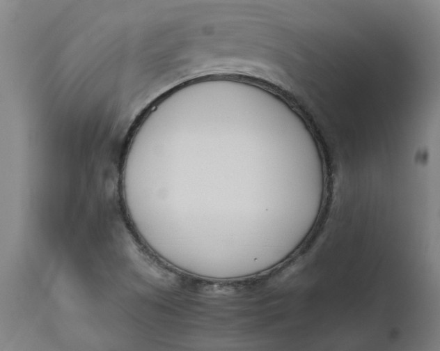 X0000112491505200909071209