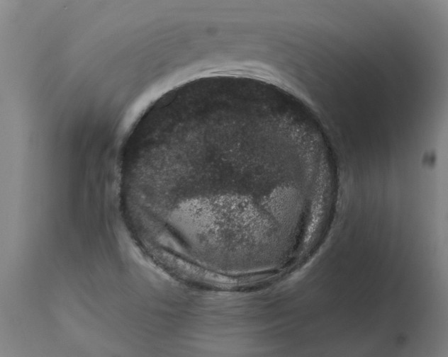 X0000112491506200909071209