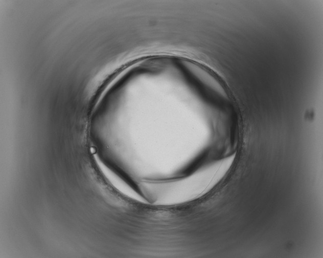 X0000112491507200909071209