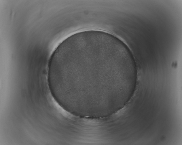 X0000112491508200909071209