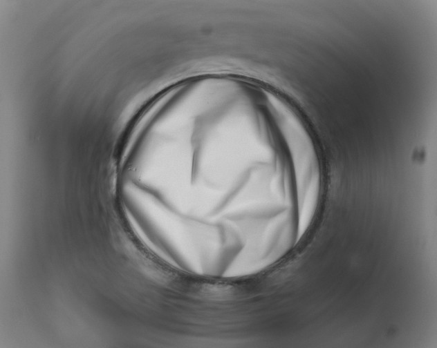 X0000112491509200909071209