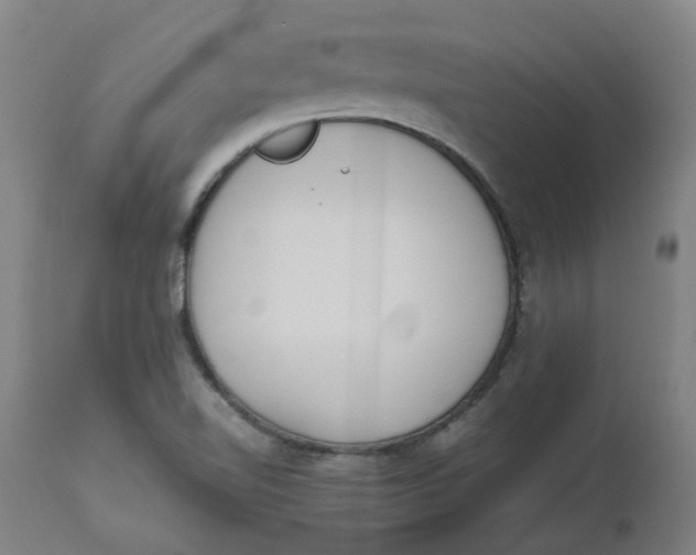 X0000112491510200909071209