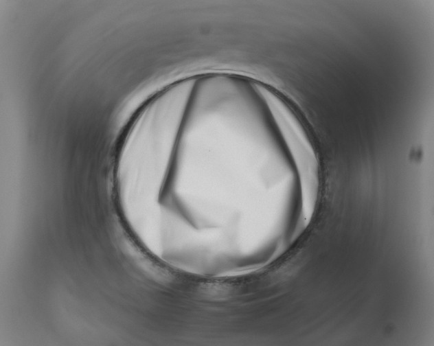 X0000112491511200909071209