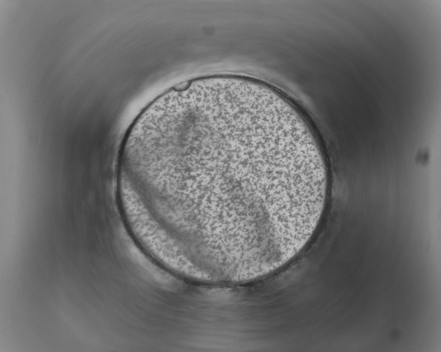 X0000112491512200909071209