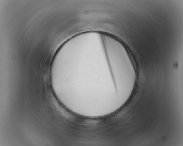 X0000112491513200909071209