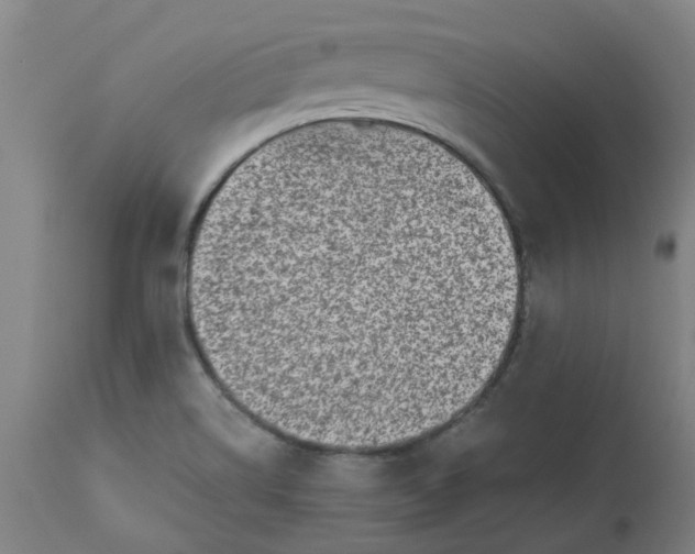 X0000112491514200909071209