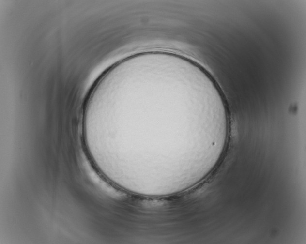 X0000112491515200909071209