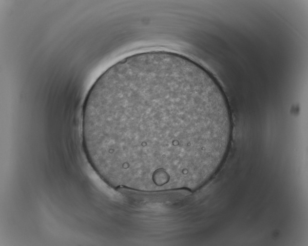 X0000112491516200909071209