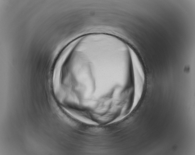 X0000112491517200909071209