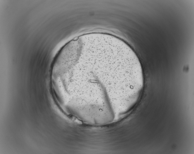 X0000112491518200909071209