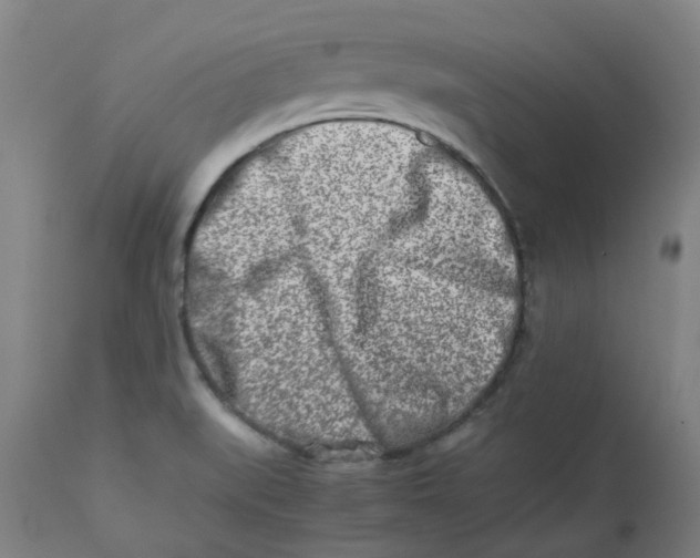 X0000112491519200909071209