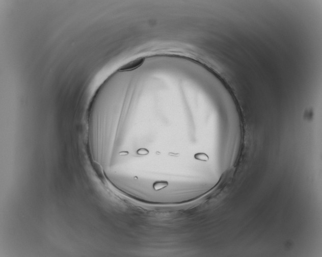 X0000112491520200909071209