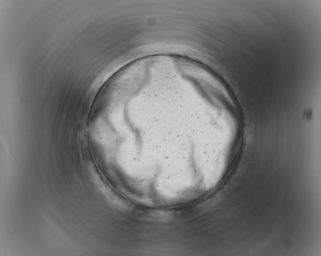 X0000112491521200909071209