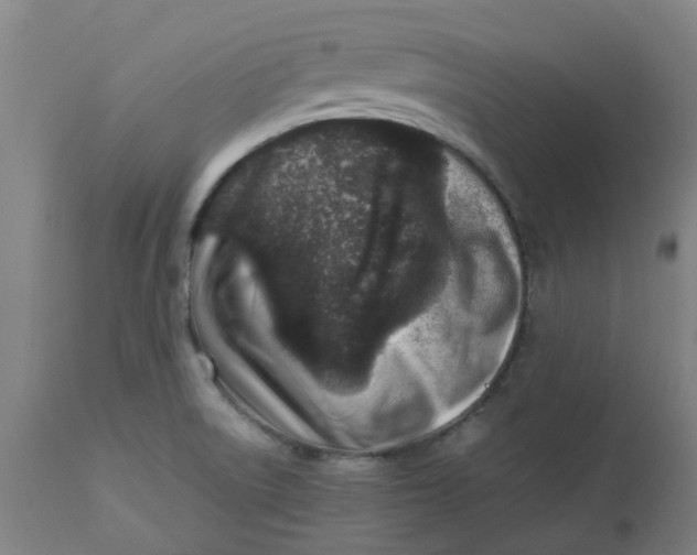 X0000112491522200909071209