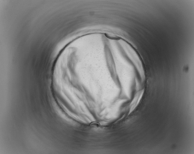 X0000112491523200909071209