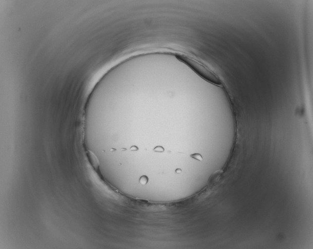 X0000112491524200909071209