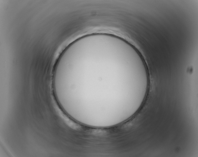 X0000112491525200909071209