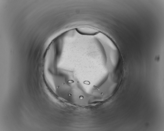 X0000112491526200909071209