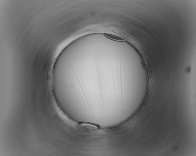 X0000112491528200909071209