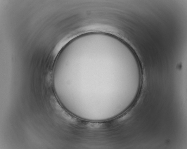 X0000112491529200909071209