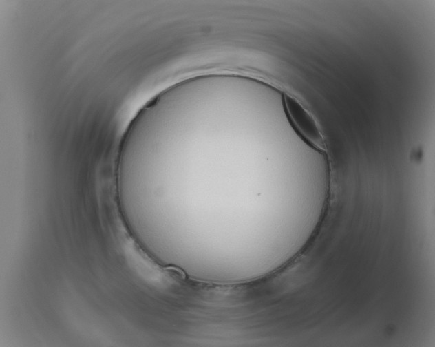 X0000112491530200909071209