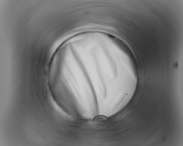 X0000112491531200909071209