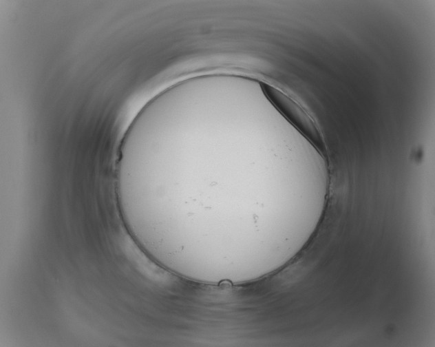 X0000112491532200909071209