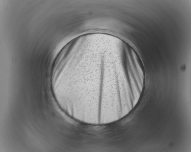 X0000112491533200909071209