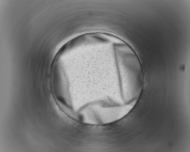 X0000112491534200909071209