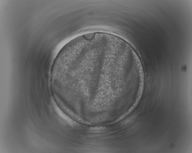 X0000112491535200909071209