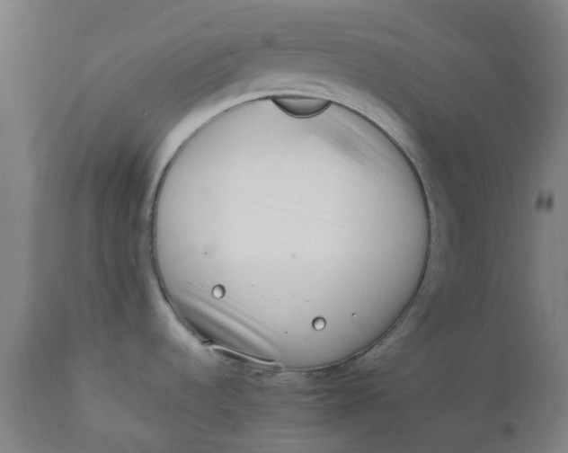 X0000112491536200909071209