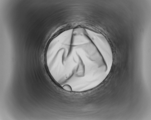 X0000112490002200909141213