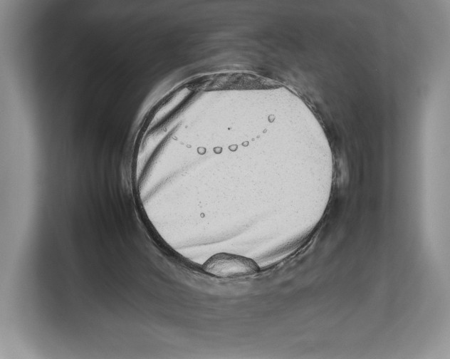 X0000112490004200909141213