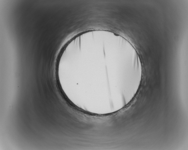 X0000112490008200909141213