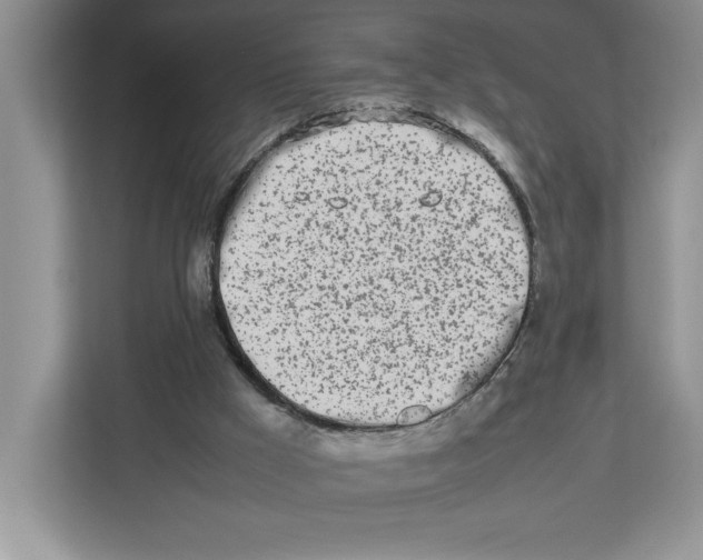 X0000112490009200909141213