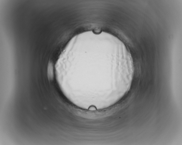 X0000112490022200909141213