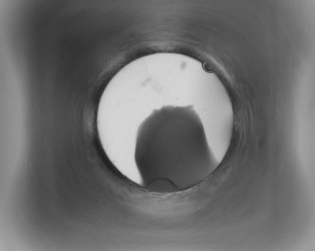 X0000112490023200909141213