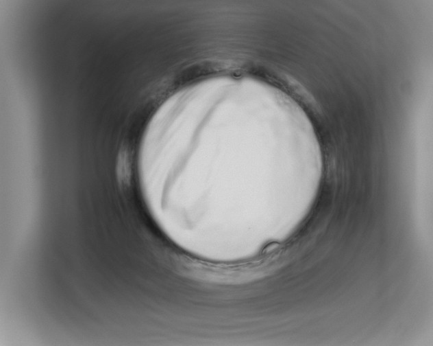 X0000112490026200909141213