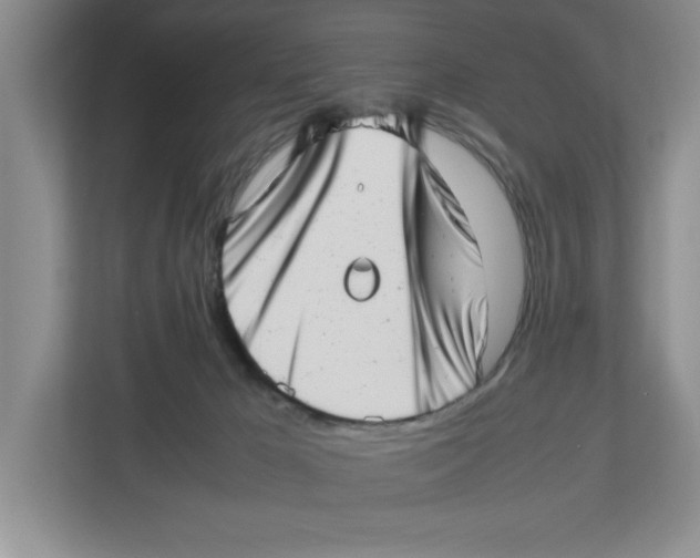 X0000112490029200909141213