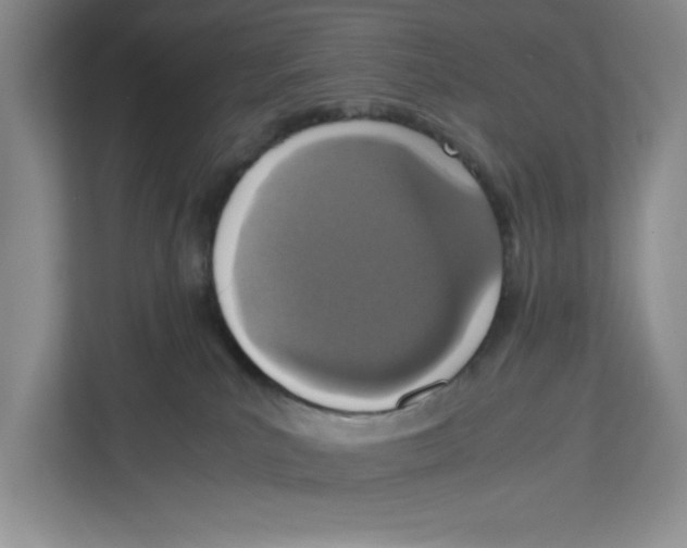 X0000112490039200909141213