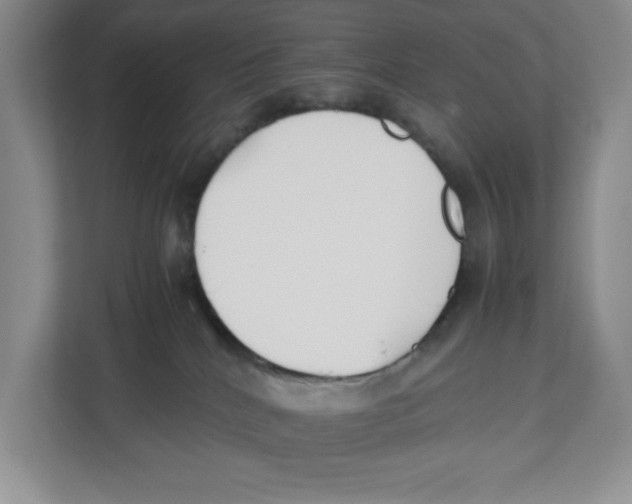 X0000112490040200909141213