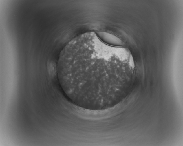 X0000112490043200909141213