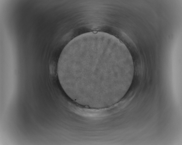 X0000112490044200909141213