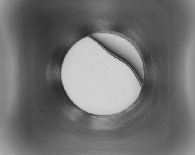 X0000112490045200909141213