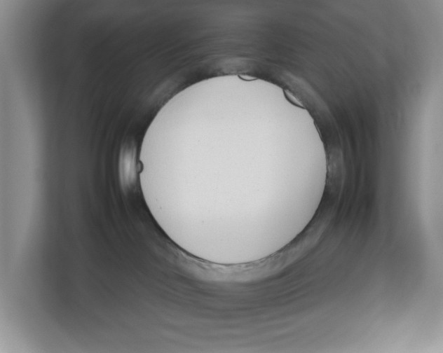 X0000112490046200909141213